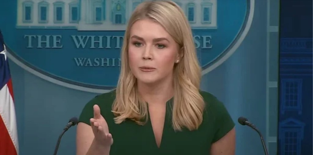 3/19/2025 — Trump-Putin talks put Zaporizhzhya plant in&nbsp;spotlight&nbsp;