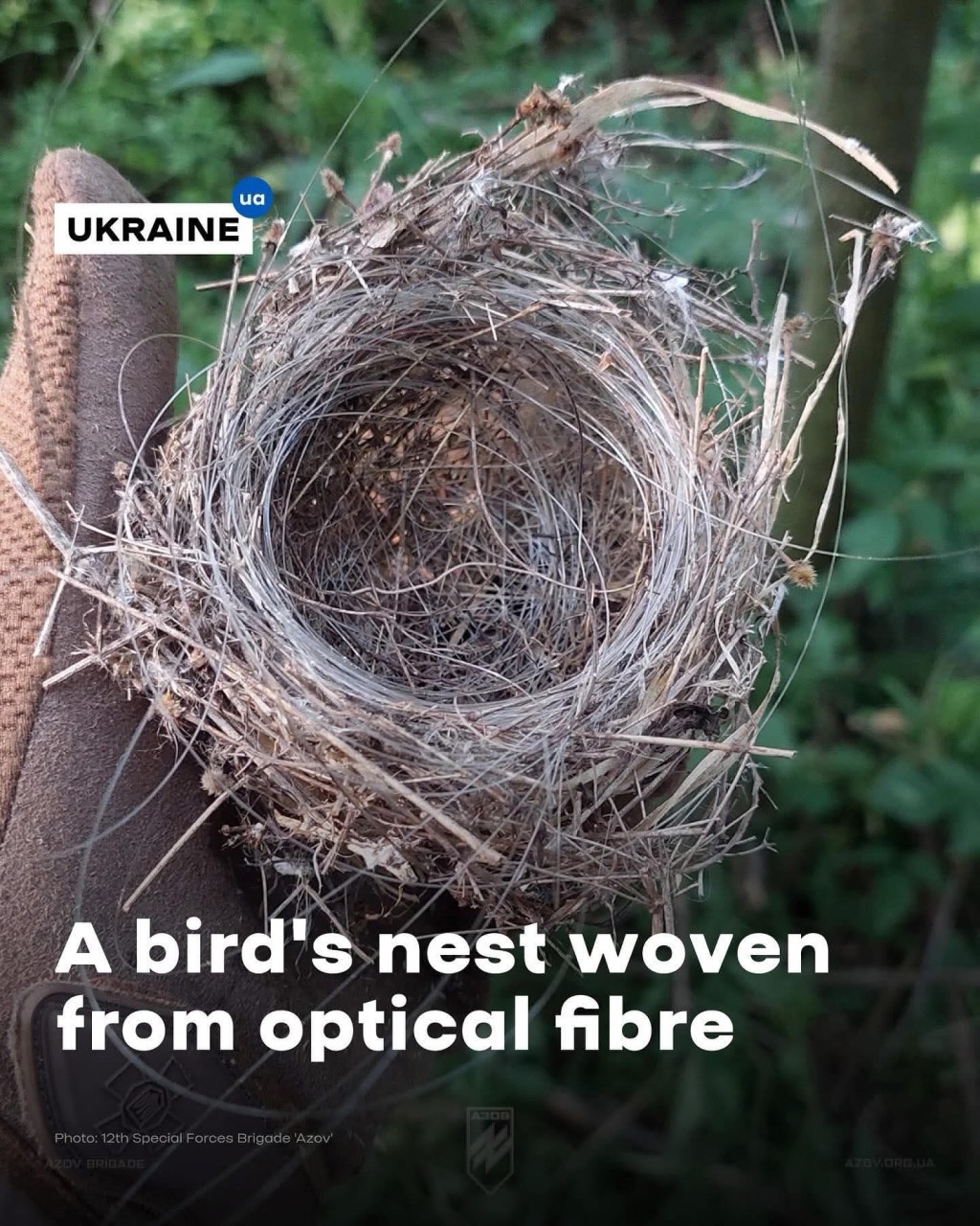 6/13/2025 — Even birds weave nests from optical fiber on the frontline. If they don’t give up, then why should we?