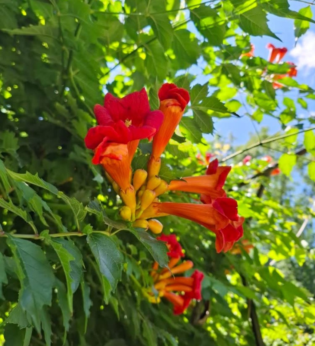 7/5/2025 — As you celebrate America’s Independence Day, don’t look away from the suffering of those who fight for their&nbsp;independence