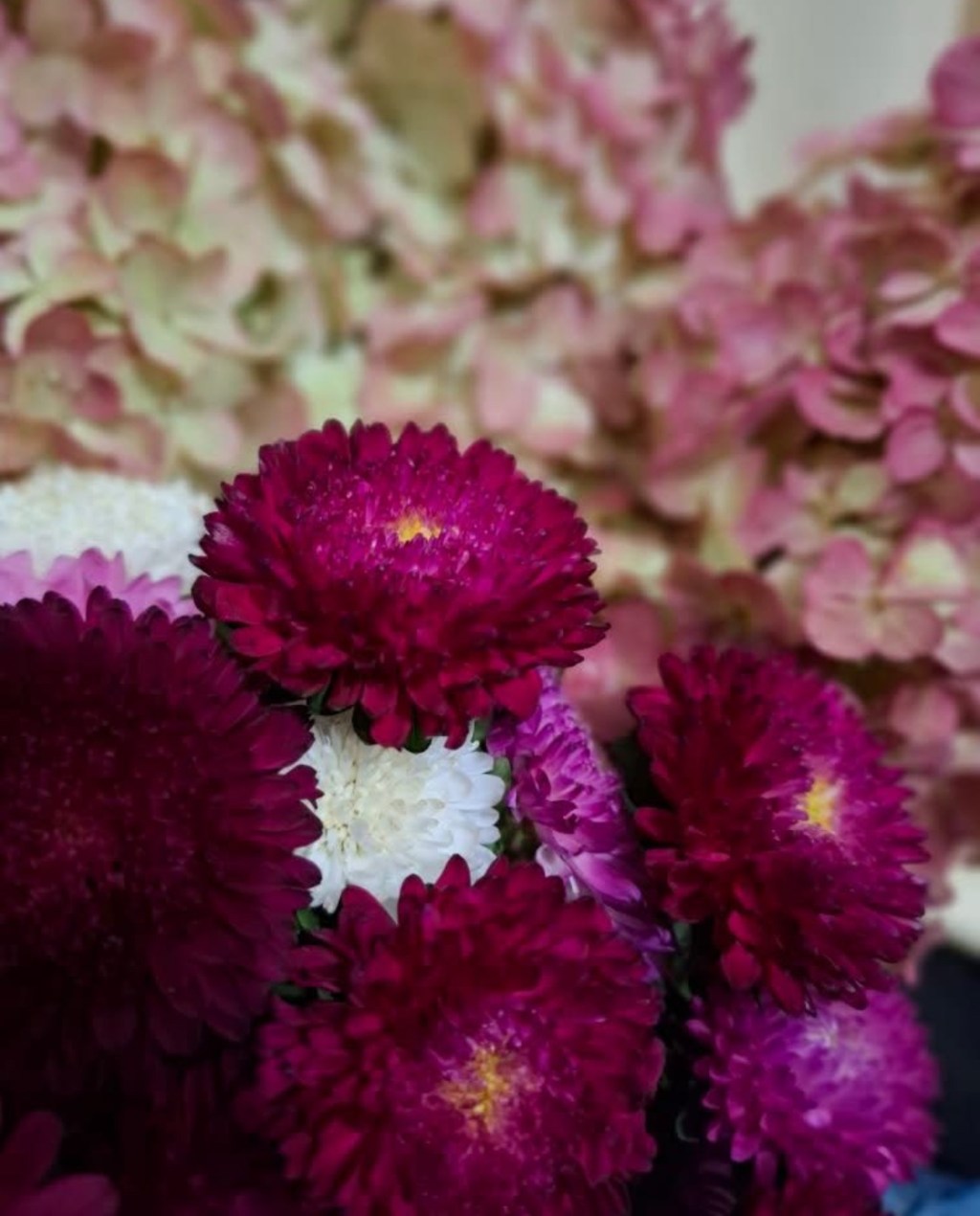 8/28/2025 — God’s life and hope overcome death and darkness!