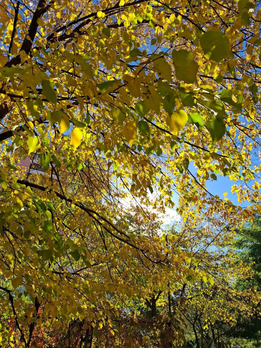 10/20/2025 — “The hand of our God is for good on all who seek&nbsp;him…”